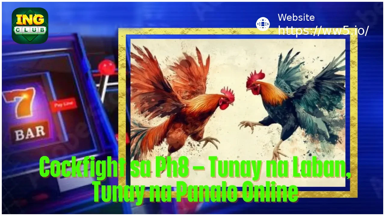 Cockfight on WW5 Real Time Battles and Online Action
